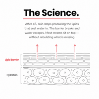 Diagram: "The Science." showing water escaping through gaps in the skin's lipid barrier above the hydration layer